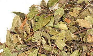 Dried Bearberry Leaves (Arctostaphylos Uva-Ursi)
