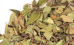 Dried Bearberry Leaves (Arctostaphylos Uva-Ursi)
