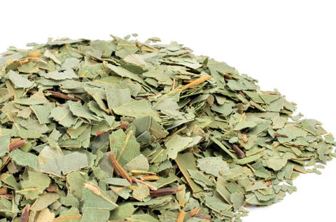 Dried Eucalyptus