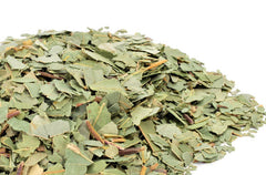 Dried Eucalyptus