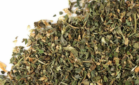 Catnip (Nepeta Cataria)