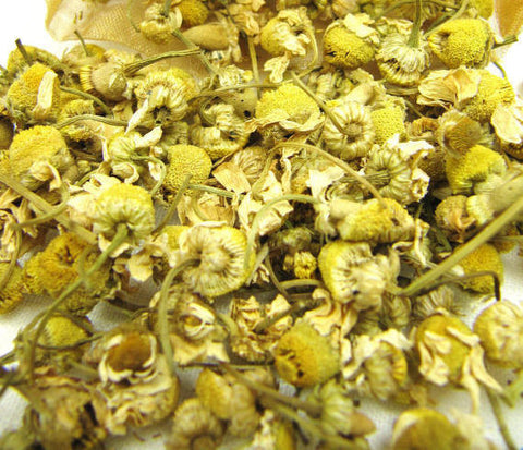Chamomile (Matricaria Chamomilla)