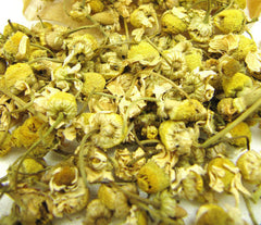 Chamomile (Matricaria Chamomilla)
