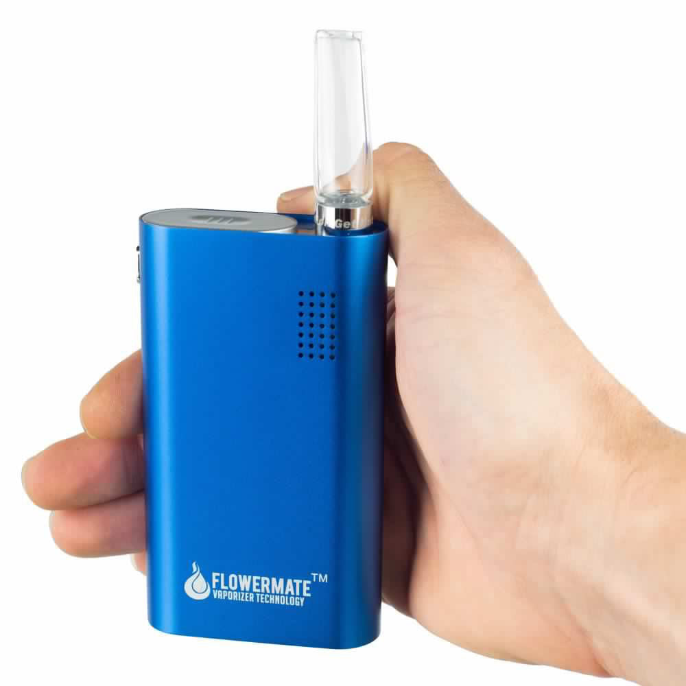 Vapormax v sales flowermate v5.0s review