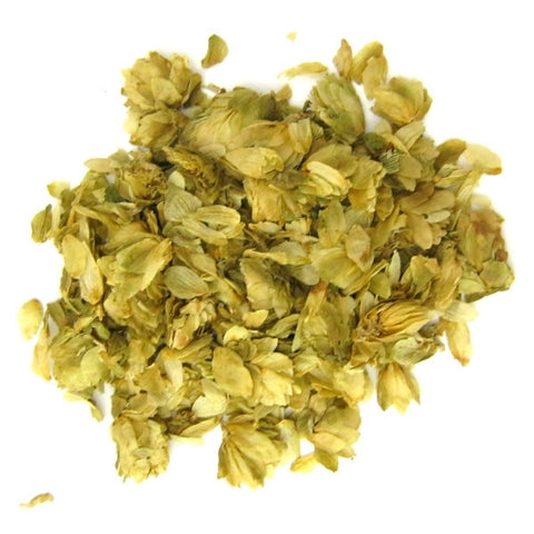 Hops (Humulus Lupulus)